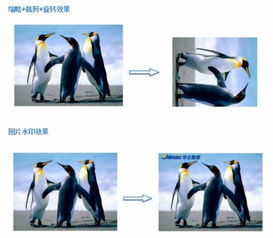 華云數(shù)據(jù)對(duì)象存儲(chǔ)服務(wù)COS 富媒體服務(wù)之圖片處理與存儲(chǔ)支持